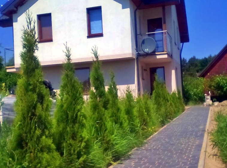 Gryf Dębki ?v=1.0