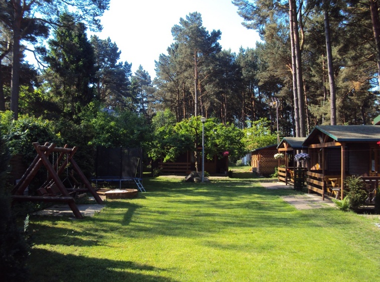 Sosn&oacute;wka 