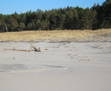 Spacer po szerokiej plaży w Dębkach &ndash; kontakt z naturą nad morzem