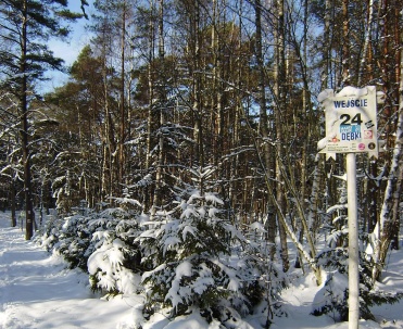 Dębki zimą &ndash; natura, cisza i magiczne widoki na zamarzniętym wybrzeżu