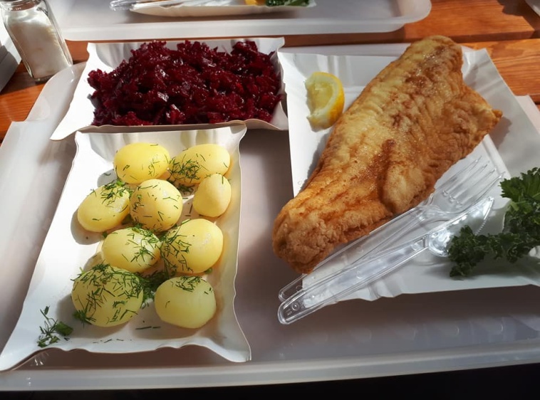 Bar RYBKA